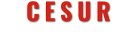 Cesur Mutfak